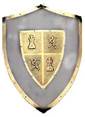 Medieval Shield