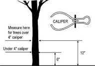 Caliper