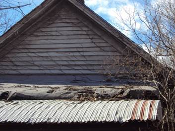 DSC02660.JPG