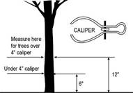 Caliper