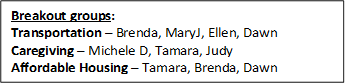 Breakout groups:
Transportation  Brenda, MaryJ, Ellen, Dawn
Caregiving  Michele D, Tamara, Judy
Affordable Housing  Tamara, Brenda, Dawn
