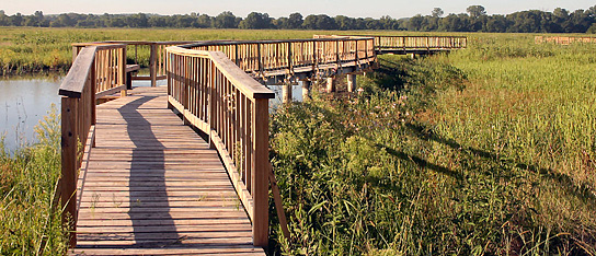 Boardwalk